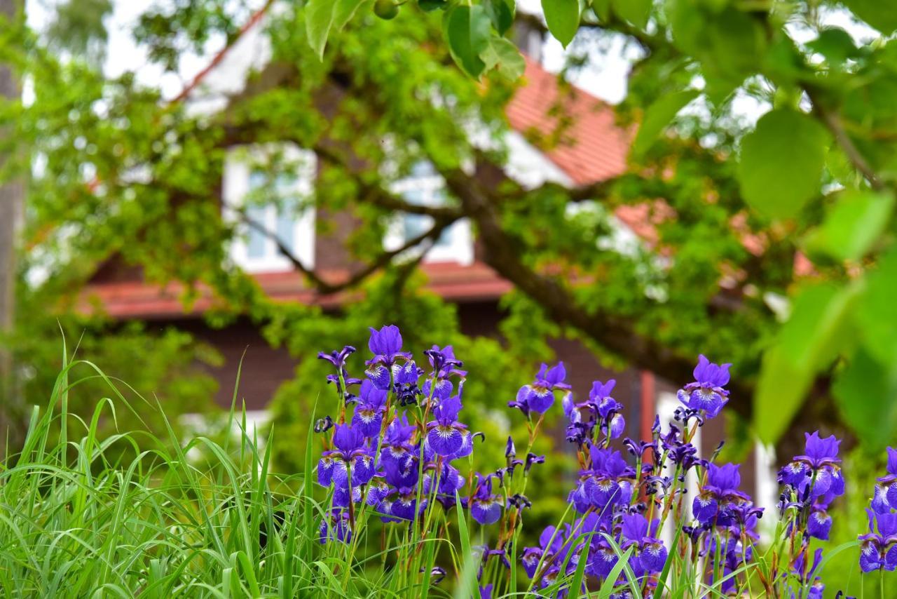 Sunny Beaver B&B Trakai Esterno foto