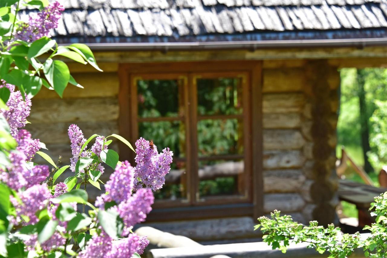 Sunny Beaver B&B Trakai Esterno foto